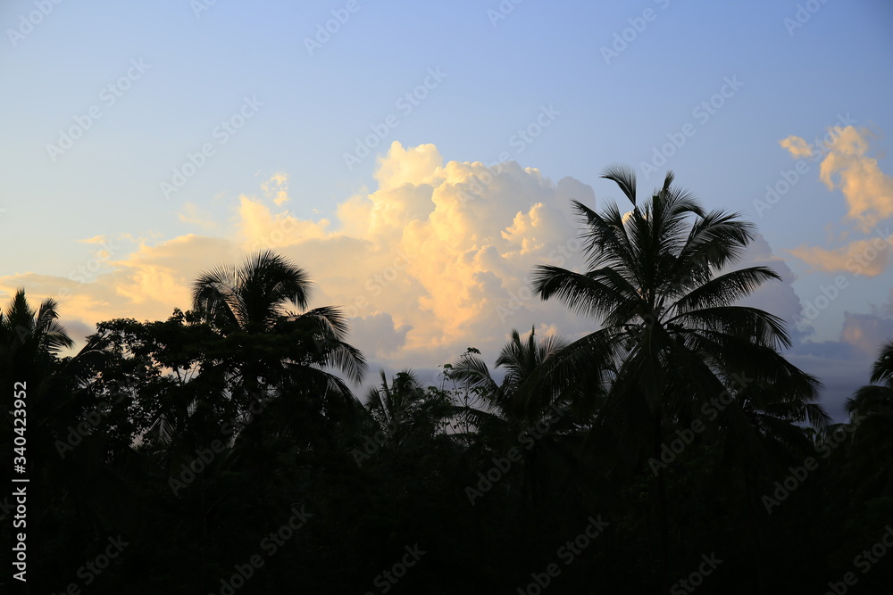 custom made wallpaper toronto digitallandscape in the evening