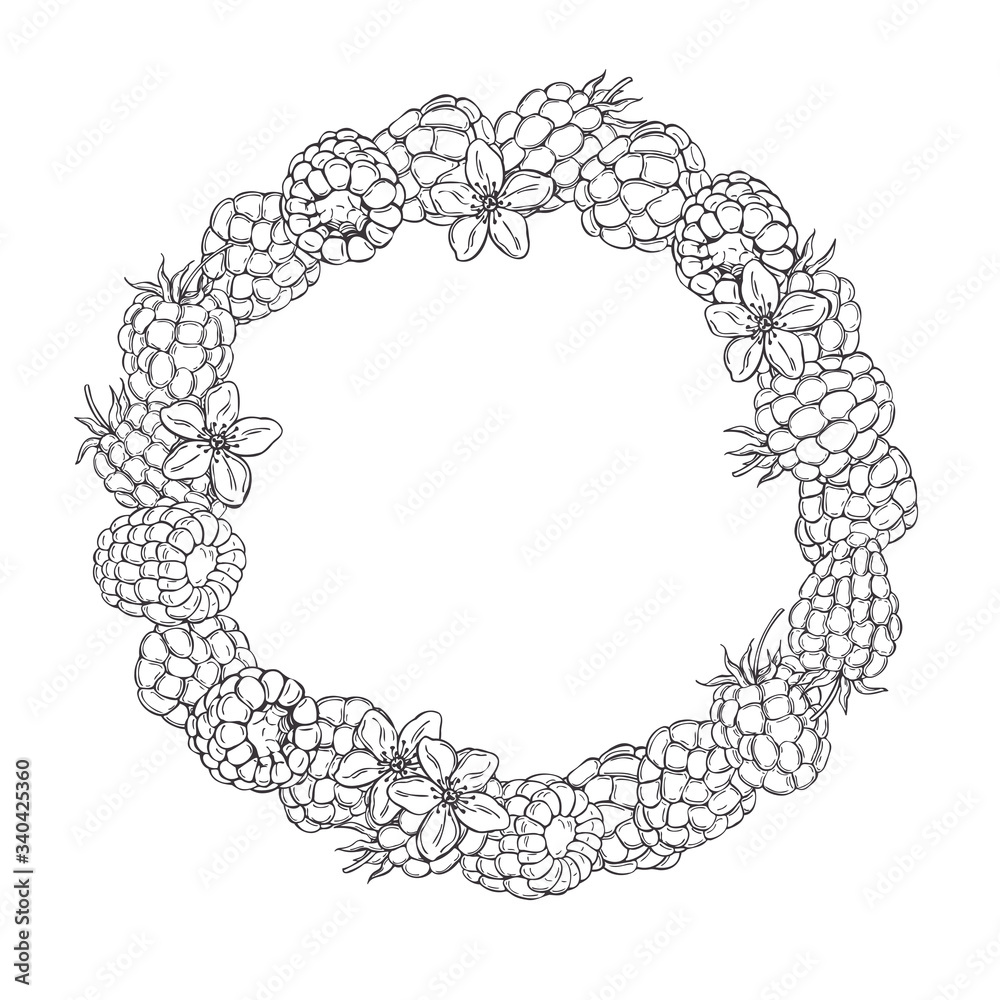Hand drawn raspberry  in a circle on white background.  Vector sketch illustration