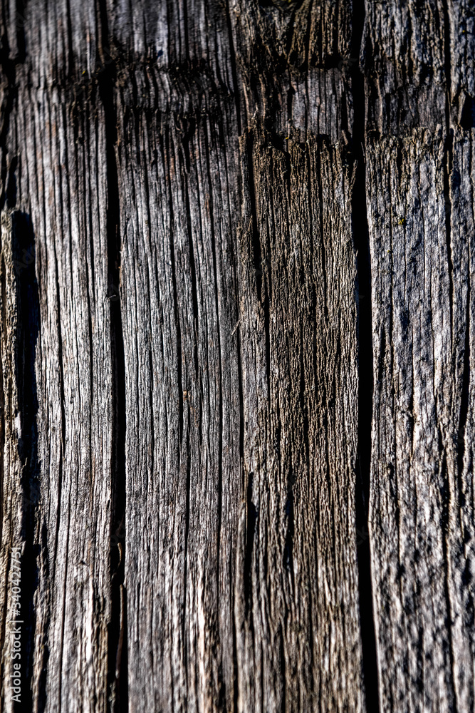 Obraz premium Texture