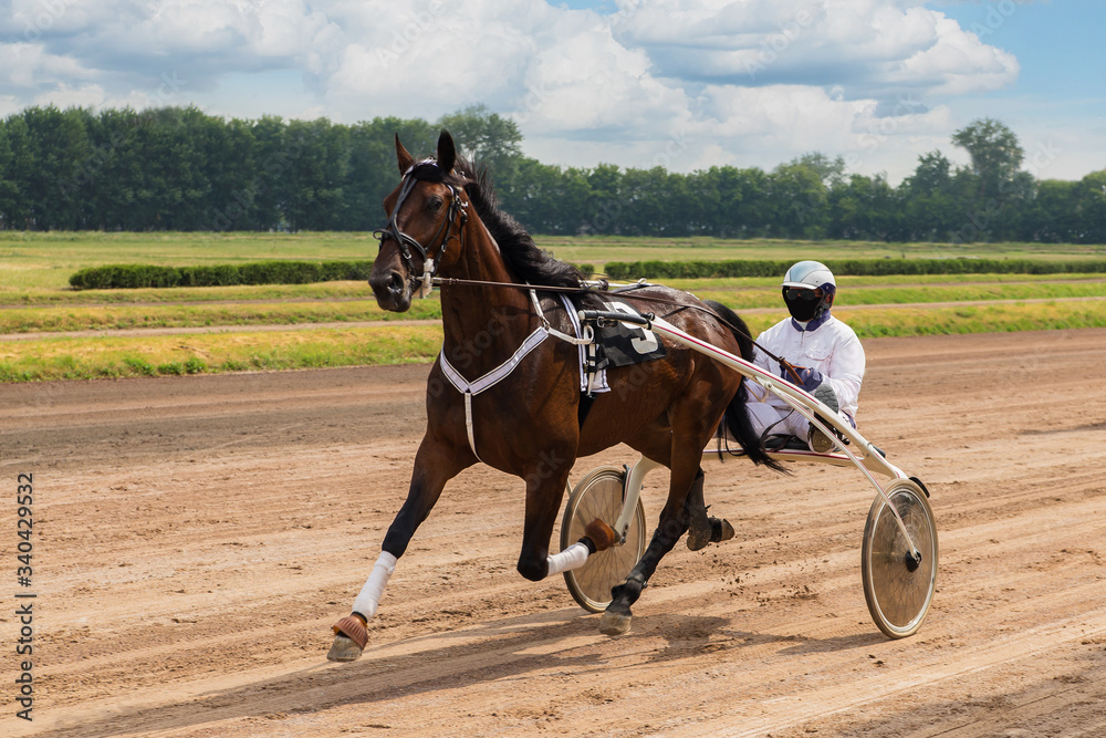 horse race at the racetrack, horses track, stallions run, a rider sits in a carriage horse race at the racetrack, horses track, stallions run, a rider sits in a carriage