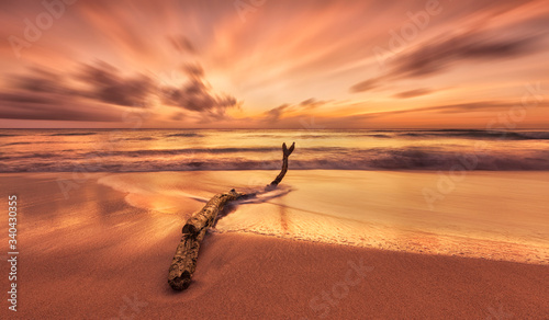 Konstfotografi tropical paradise beach with white sand and coco palms travel tourism wide panorama background Luxury travel summer holiday background concept