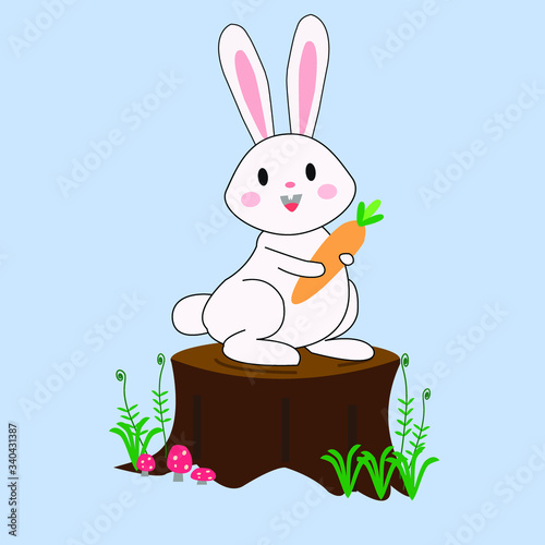 Bunny Rabbit Standing on Wood