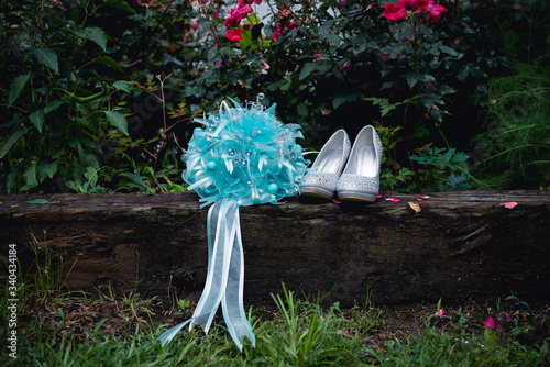 Quinceanera Shoes