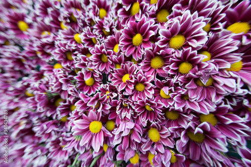 Plano muy corto escultura de flores lisas y amarillas  con un gran angular