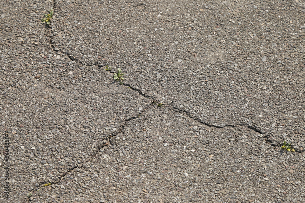 Obraz premium The cracked gray asphalt background