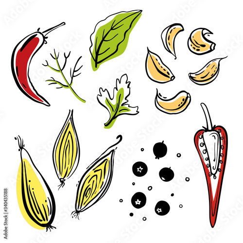 Herbs and spices: pepper, bay leaf, onion, garlic, parsley. Colorful sketch collection of vegetables and herbs isolated on white background. Doodle hand drawn vegetable icons. Vector illustration