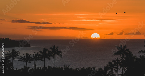 Sunset and palm trees