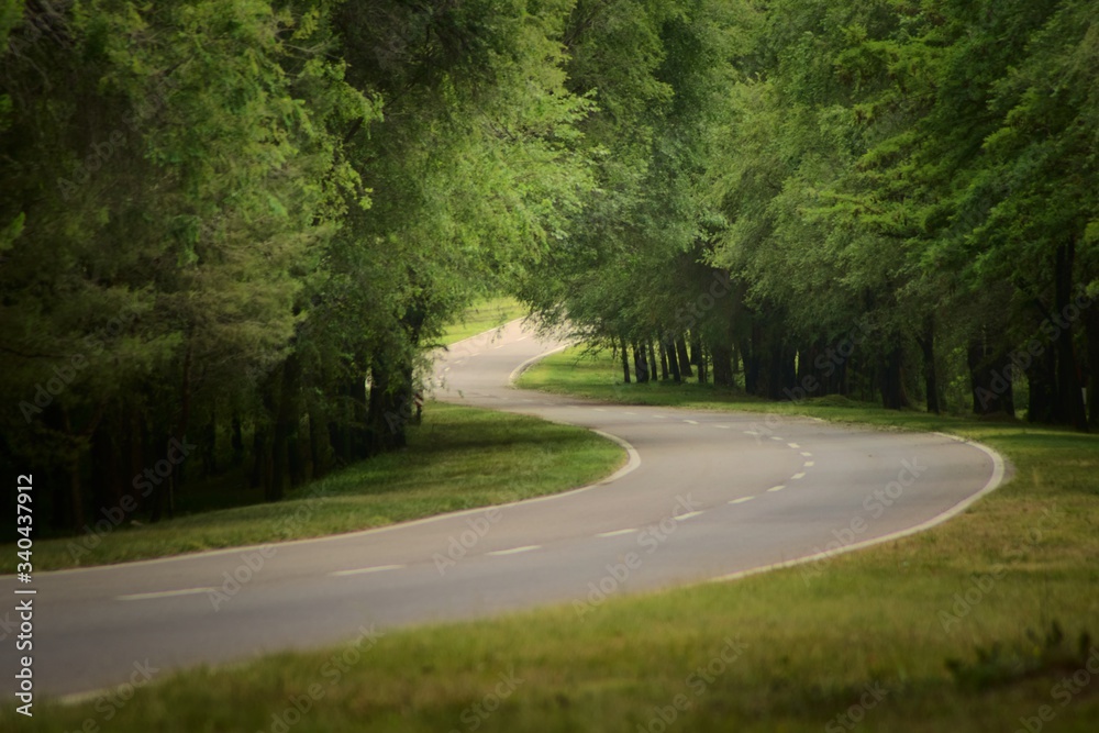 Obraz premium Winding asphalt road in a wooded area in San Luis, Argentina.