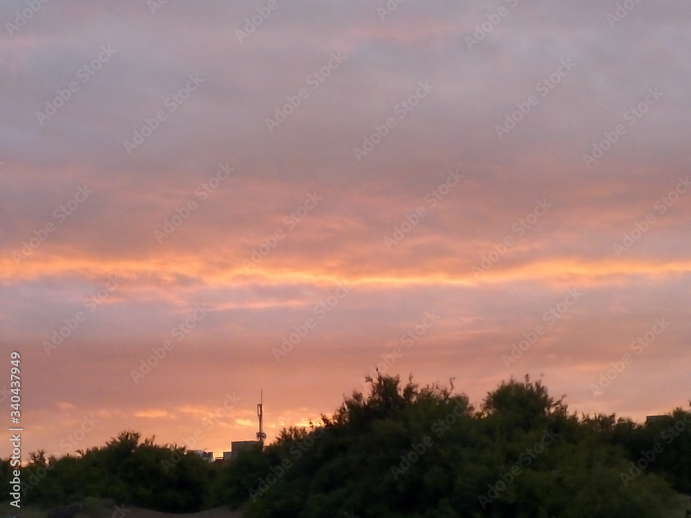 Fototapeta premium cielo rosa