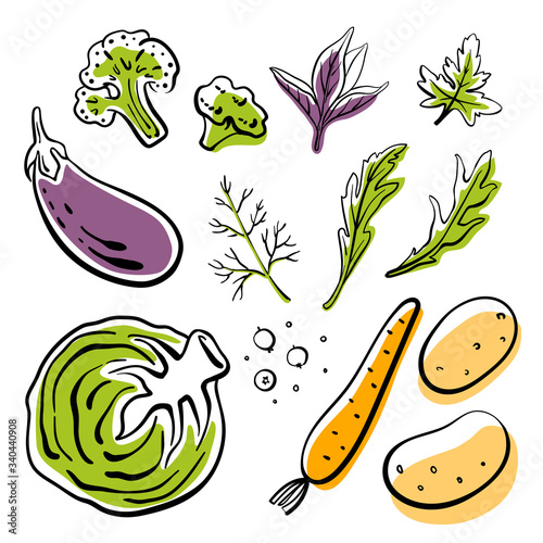 Cabbage, eggplant, broccoli, carrot, potatoes, herbs. Colorful sketch collection of vegetables and herbs isolated on white background. Doodle hand drawn vegetable icons. Vector illustration