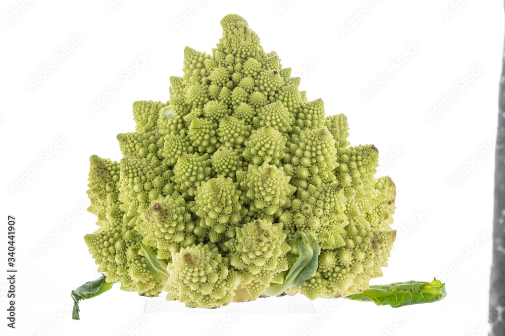 Triangle shaped cabbage on a white background. The vegetable is triangular in shape. Vegetable with spikes. Triangle shaped cabbage on a white background. The vegetable is triangular in shape. Vegetable with spikes.