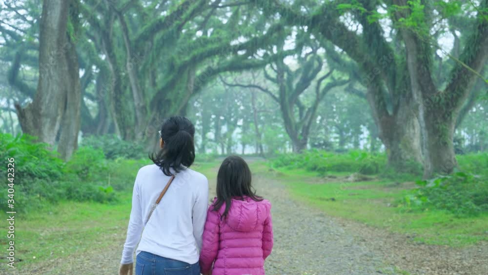 Rear view of little girl and her mother enjoying holiday while walking together in De Djawatan forest in Banyuwangi, East Java, Indonesia. Shot in 4k resolution Rear view of little girl and her mother enjoying holiday while walking together in De Djawatan forest in Banyuwangi, East Java, Indonesia. Shot in 4k resolution