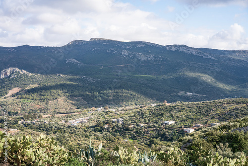 Bargou photo