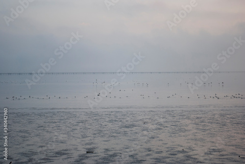 Bridge Bay Fog © Roger