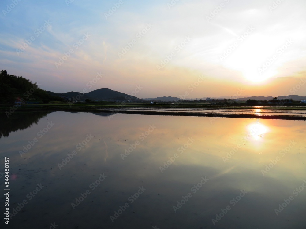 日本の田舎の風景　6月　田植え頃の水の夕景