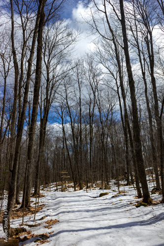 Chelsea snowy trail in April Gatineau park Quebec Canada