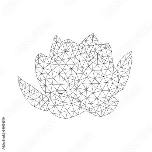 polygonal lotos illustration
