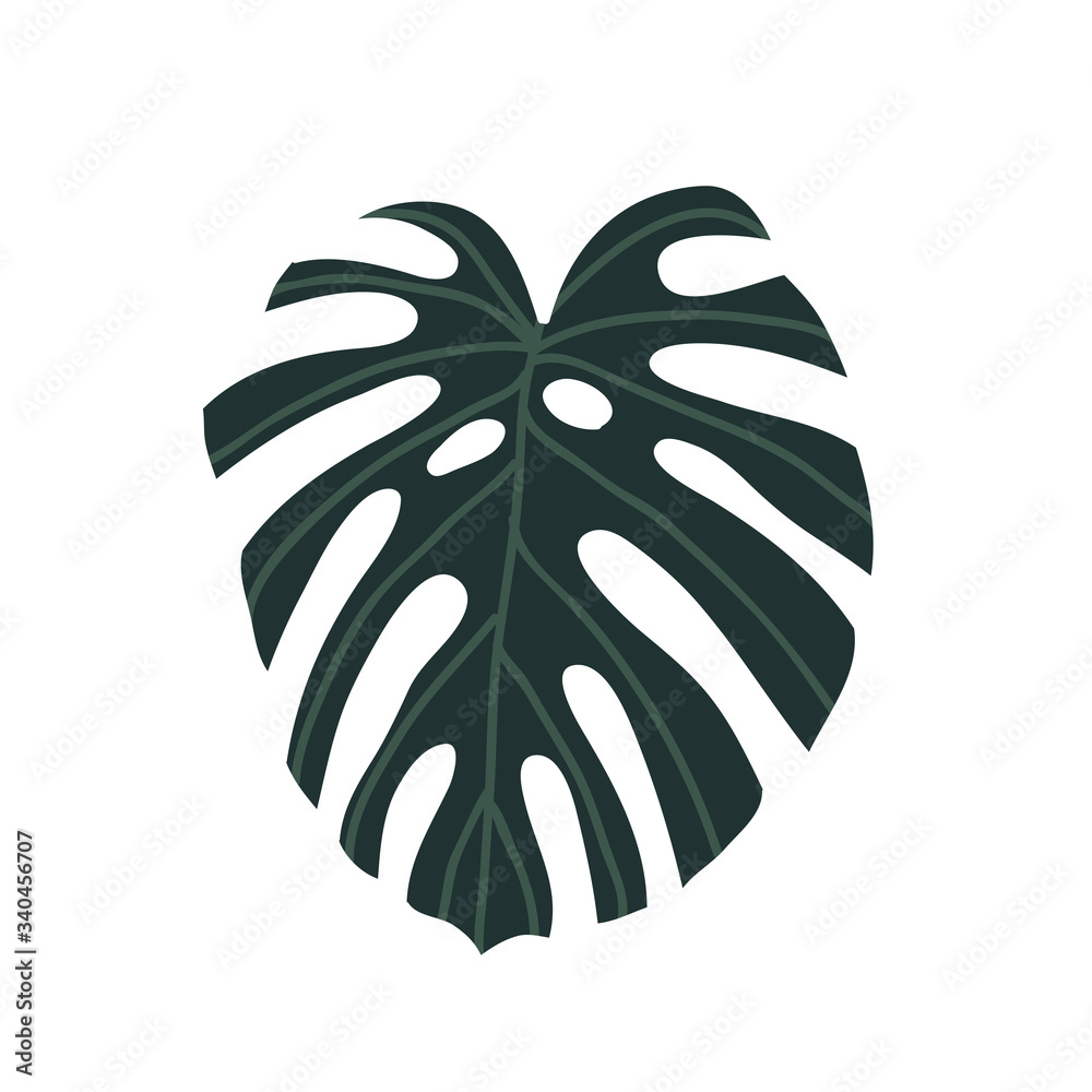 Obraz monstera leaf doodle icon