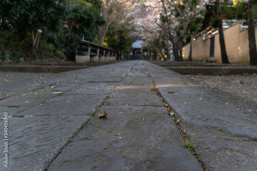神社の石畳の道