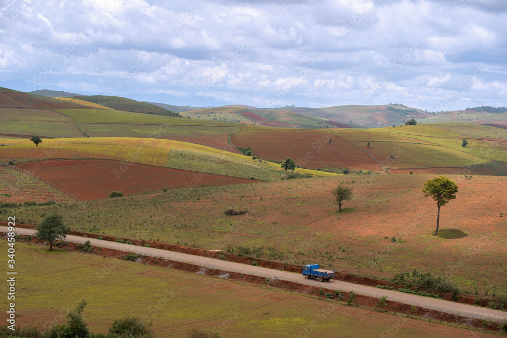 rural landscape with road