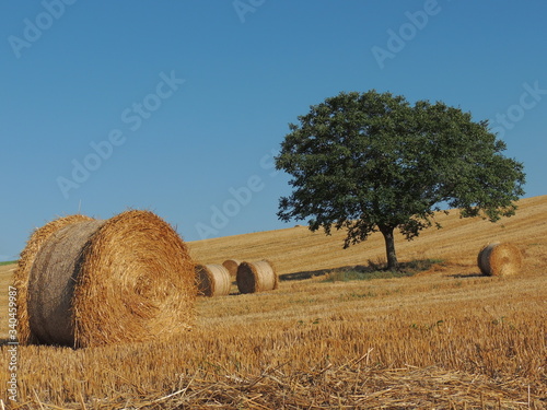 Valokuva Hay Bales On Field Against Clear Blue Sky