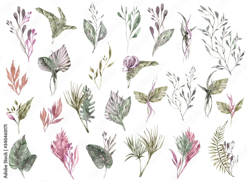 Fototapeta premium Watercolor hand painted clipart- tropical leaves, flowers, palma on white background. Can be used for greeting cards, wedding invitations, textile, fabric, poster, pattern.
