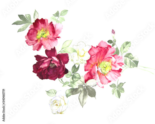 Fototapeta Naklejka Na Ścianę i Meble -  Watercolor flowers illustration