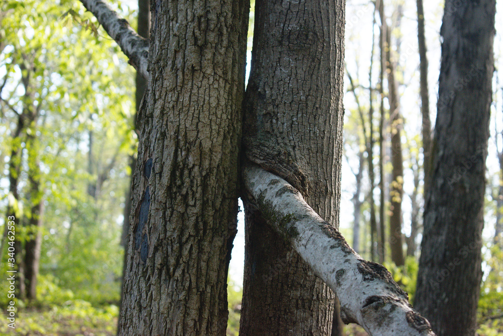 Obraz premium Developed using darktable 2.6.0