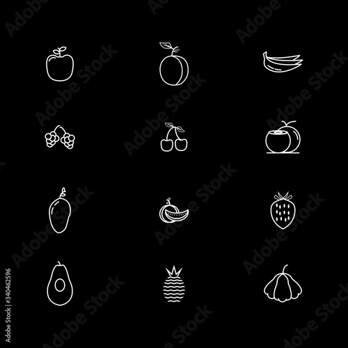 12 fruits icon set ouline style such as mangoes, apples, bananas, pineapples, coconuts, avocados, guavas, cherries