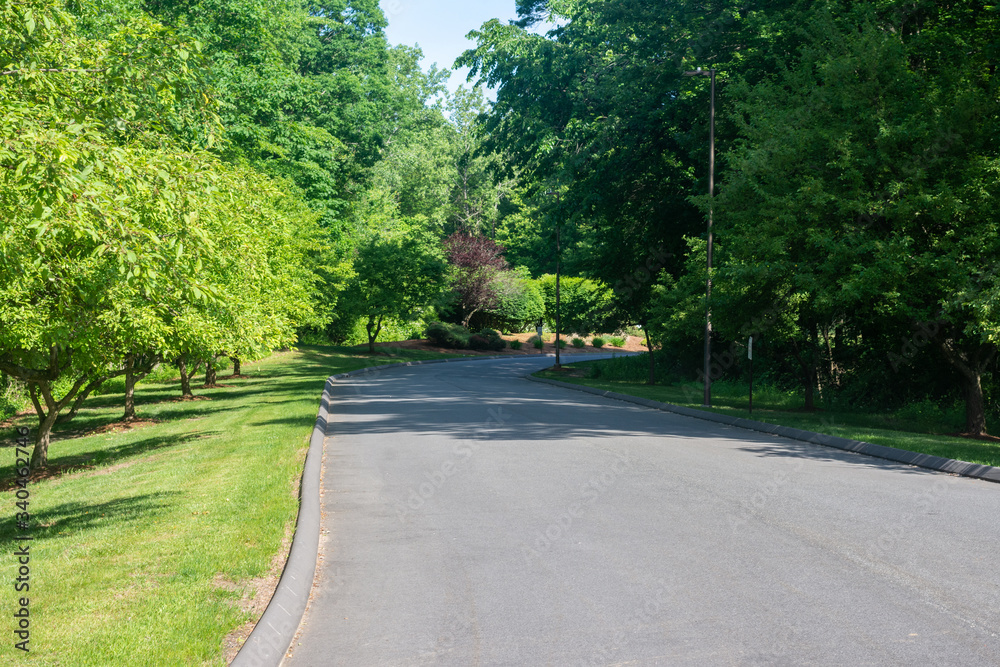 a paved road cuts through fresh green grass and healthy green leafed trees one sunny spring afternoon 