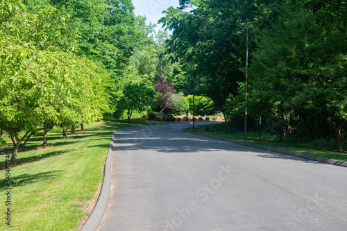 a paved road cuts through fresh green grass and healthy green leafed trees one sunny spring afternoon 