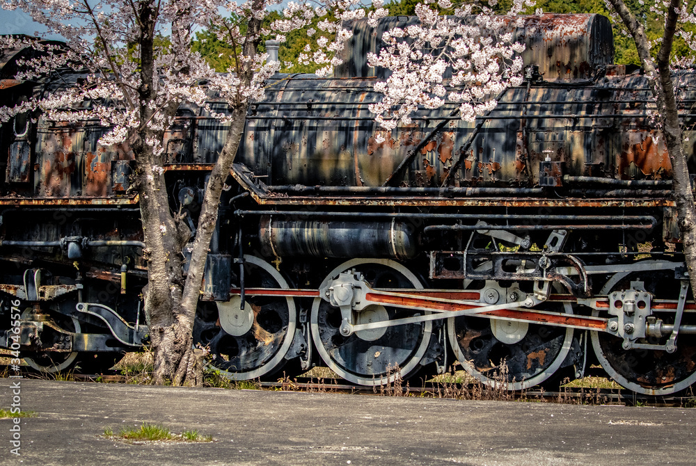 錆びた機関車と桜咲くの風景