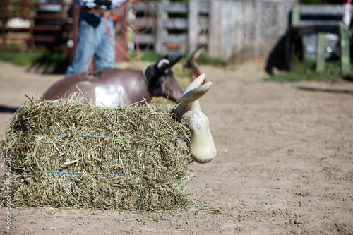 Canvas Print Roping steer dummies with hay bales in a paddock.