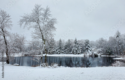 A lake in Charlton, MA. photo