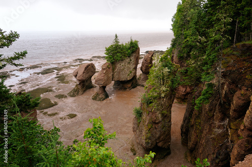 Flower Pot sea stacks at low tide at Hopewell Rocks Bay of Fundy New Brunswick