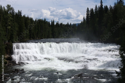 Forest Waterfall