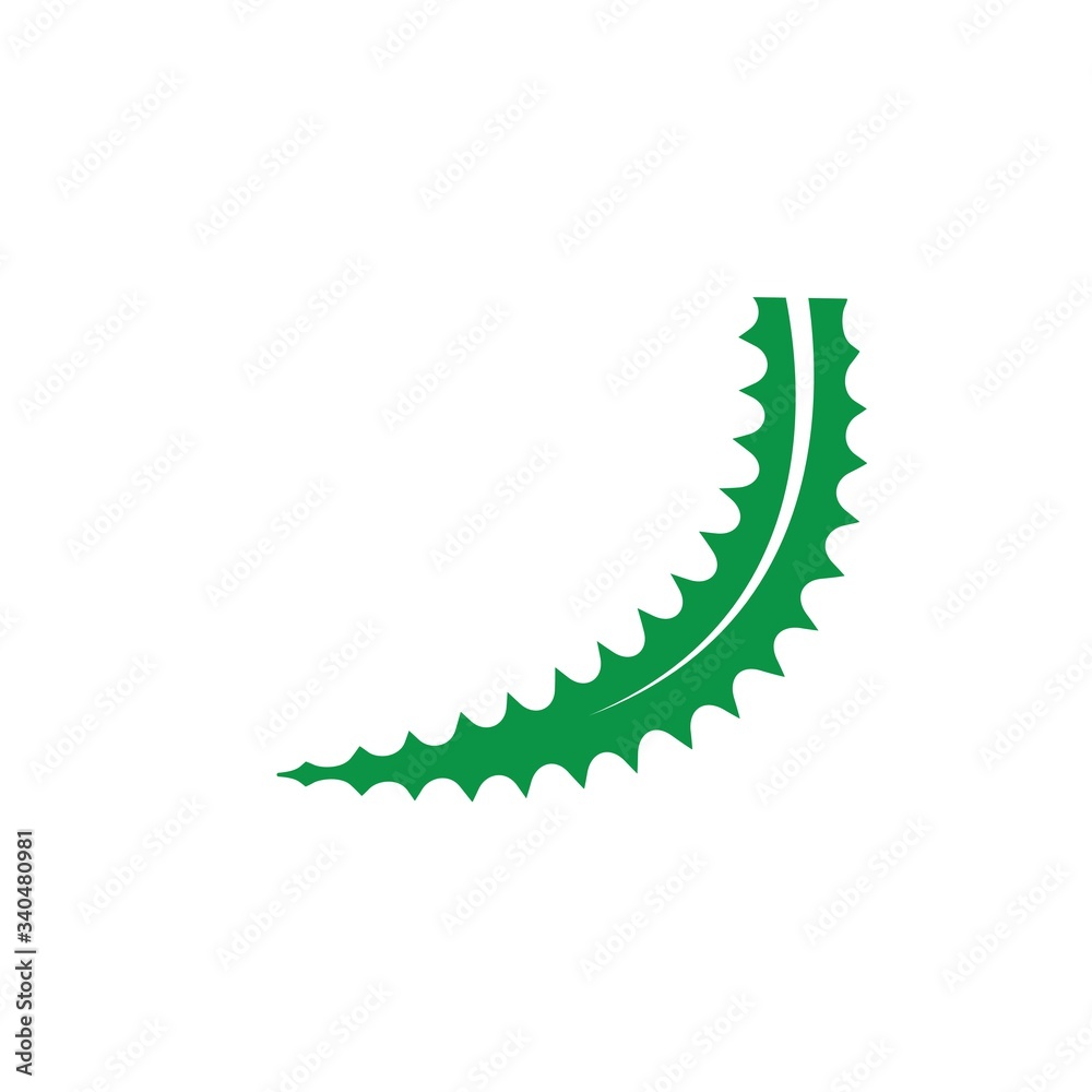 Fototapeta premium aloevera logo icon vector illustration design