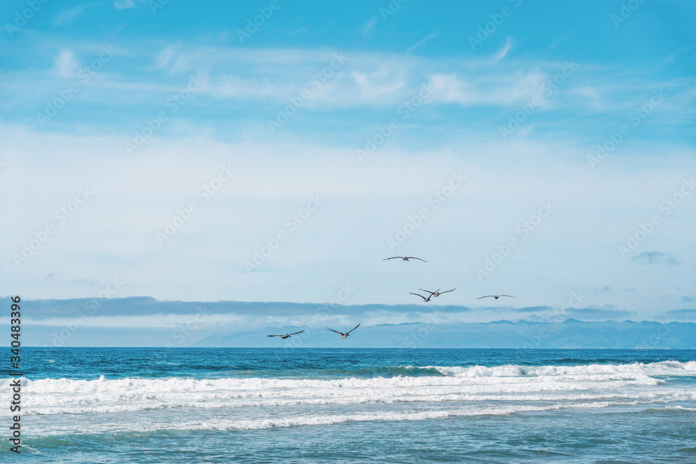 Seascape and flock of flying birds. Ocean, mountains, and cloudy sky on background