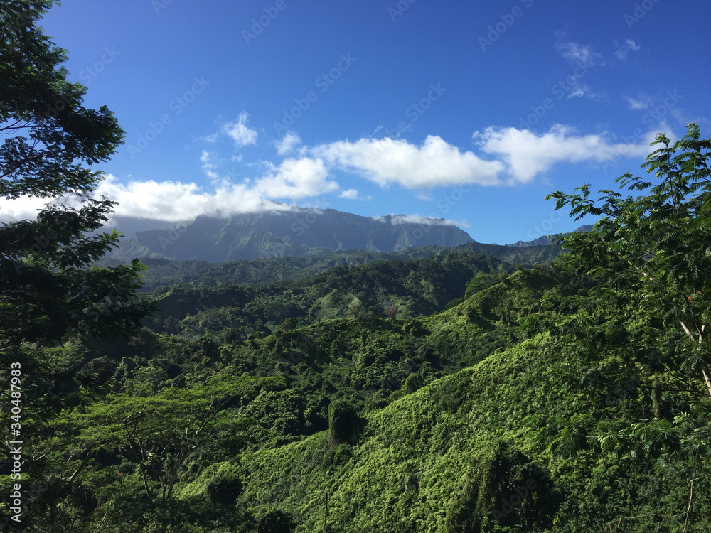 Hills of Kauai