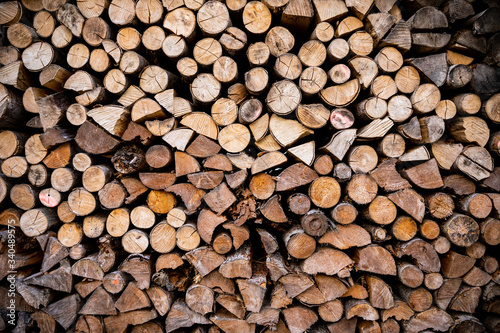 Close focus on cut log softwoods