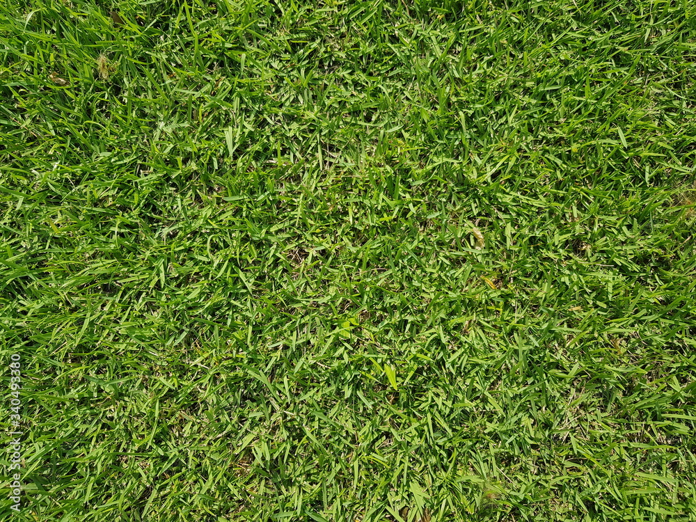 Green artificial grass natural background Green artificial grass natural background