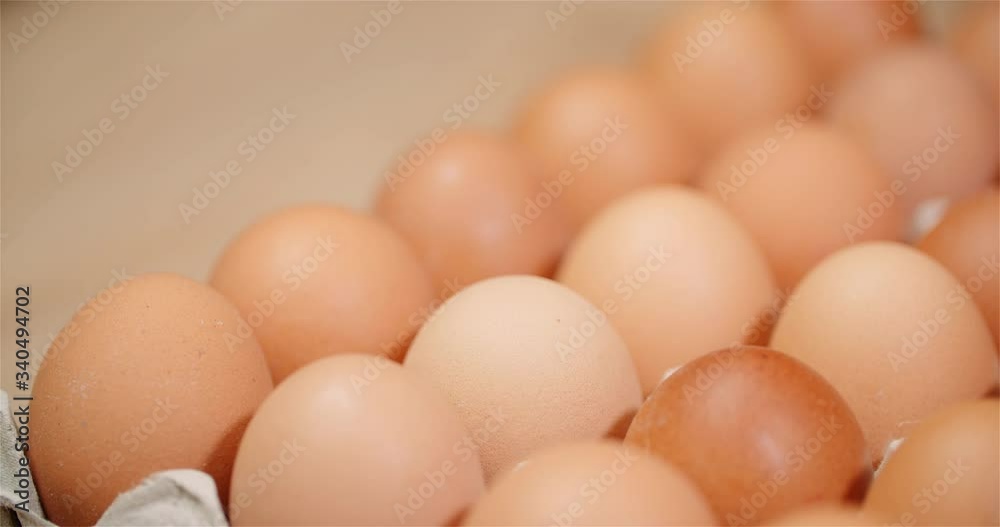 Eggs Extruder Full of Fresh Eggs on Black Background Eggs Extruder Full of Fresh Eggs on Black Background