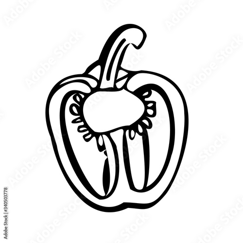 Half a bell pepper. Black and white vector illustration. Isolated on a white background.