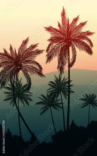 Natural Coconut trees. Mountains horizon hills. Silhouettes of palm trees and hills. Sunrise and sunset. Landscape wallpaper. Illustration vector style. Colorful view background. © Chakkree