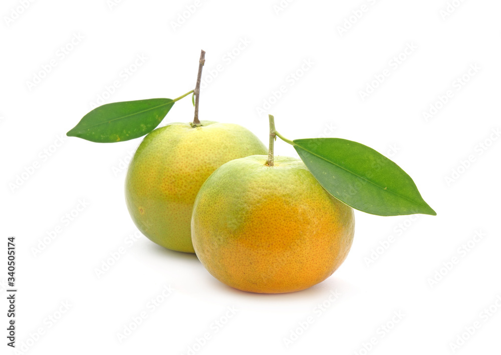 Tangerine Isolated on white background. Honeysuckle tangerine (or Sai Num Peng) is a most famous tangerine from Chiangmai Thailand. Tangerine Isolated on white background. Honeysuckle tangerine (or Sai Num Peng) is a most famous tangerine from Chiangmai Thailand.