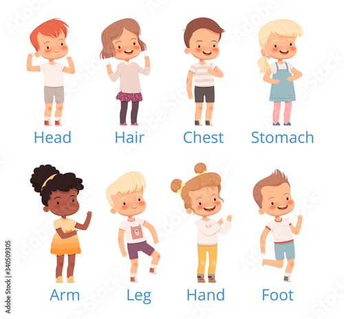 Set children show on different parts of the body with signatures. Exploring the human body