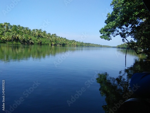 lake and trees