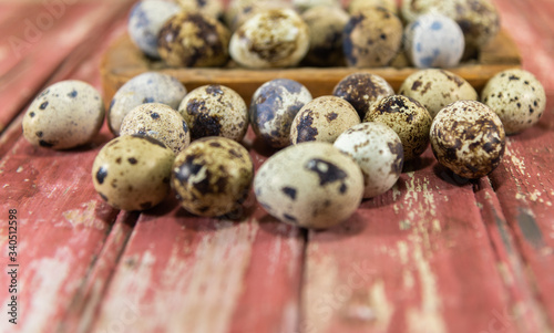 Εκτύπωση καμβά Quail eggs (Coturnix coturnix coturnix) scattered on a reddish wooden background