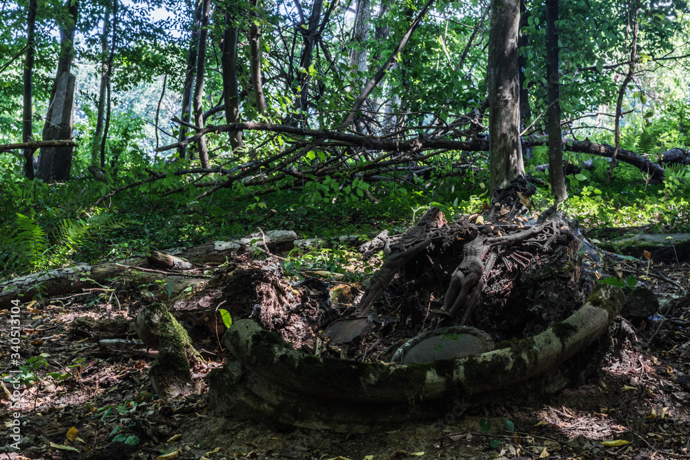 zwei rostige kreuze auf einem verlassenen waldfriedhof zwei rostige kreuze auf einem verlassenen waldfriedhof