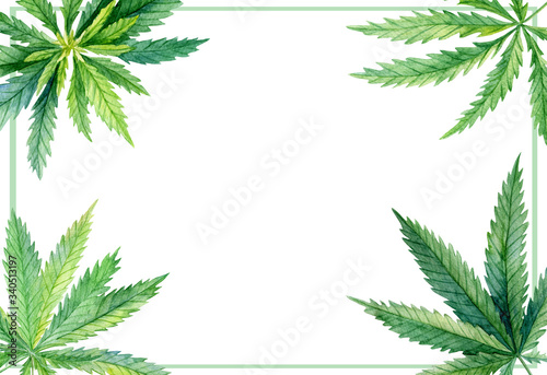 Watercolor cannabis frame   border - herbal illustration for invitations. Medicinal plant Marijuana  sativa  indica  with leaves. Hand drawn illustration  arrangement on white background